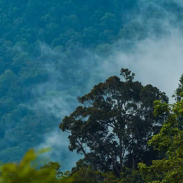 EXOTIC OOTY WAYANAD SPEACIAL TOUR.jpg